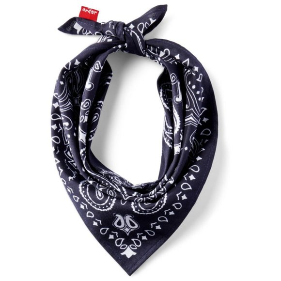 3x HP- NWT- Levi's Classy Paisley Pet Bandana - Picture 1 of 3